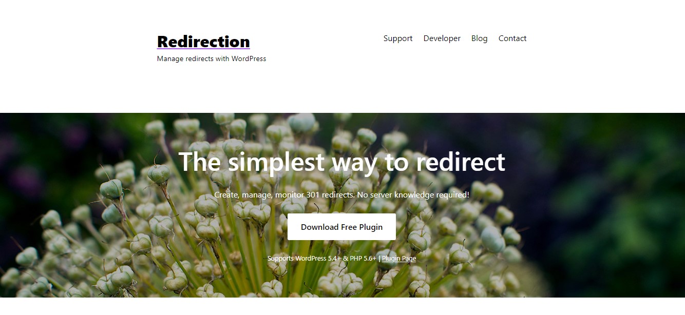 Redirection WordPress plugin